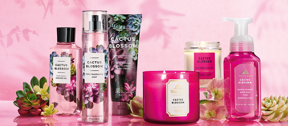 Bath & Body Works NEW CACTUS BLOSSOM Review 