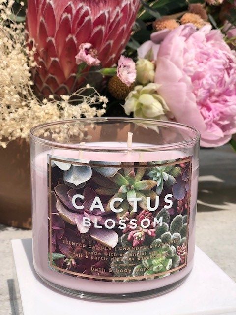 Cactus Blossom is BACK 🏜🌵 #perfume #candles #shorts #bathandbodyworks  #summer 